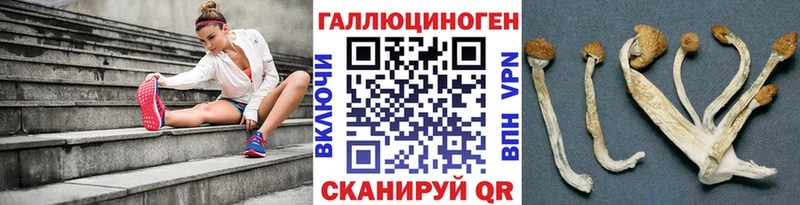 Галлюциногенные грибы Magic Shrooms  Покачи 